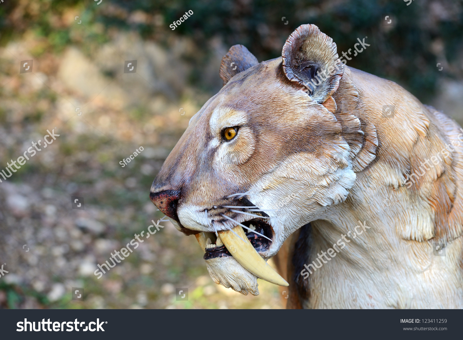 suzanne zeedyk saber tooth tiger