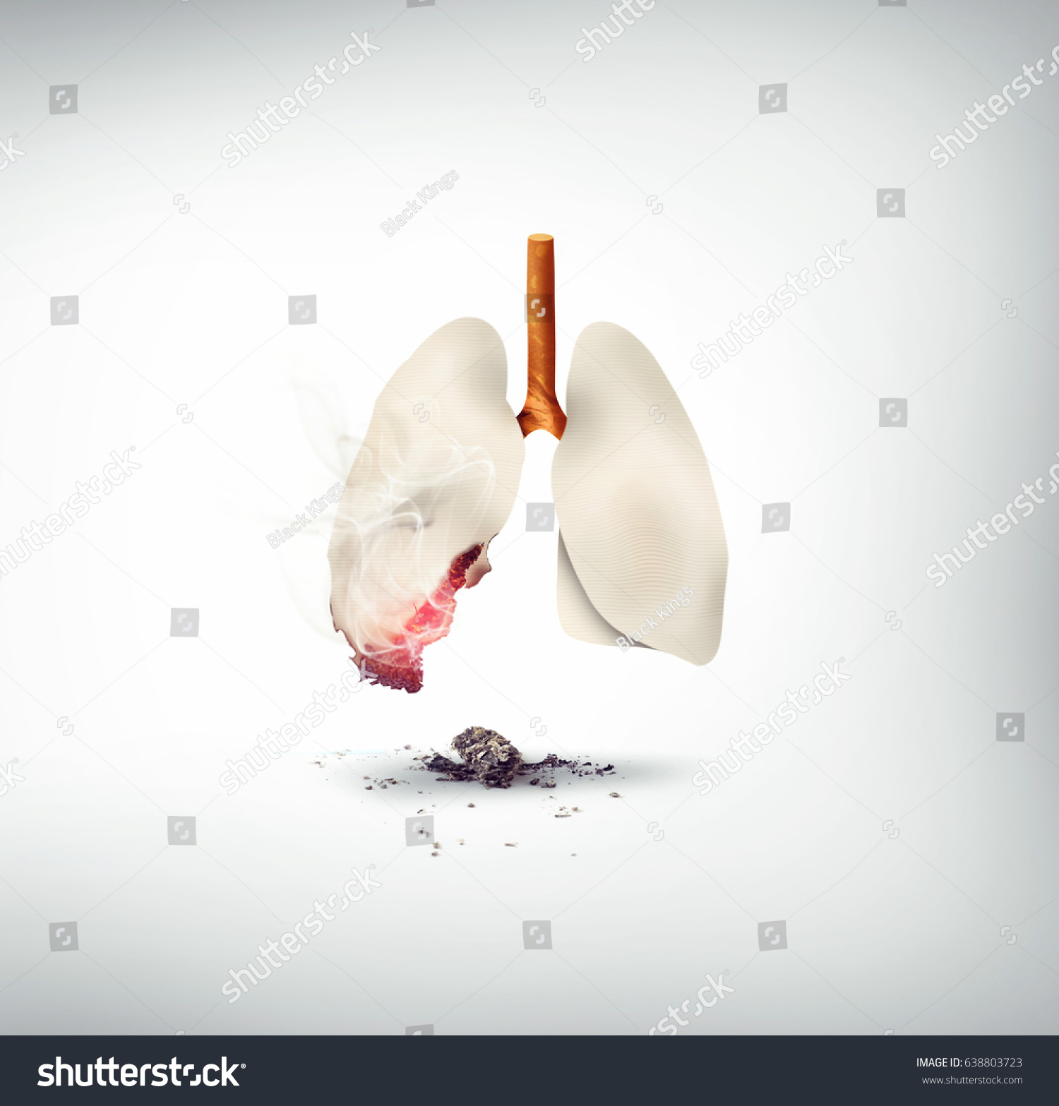 Smoking Kills Concept Design Lungs Made Stock Illustration 638803723