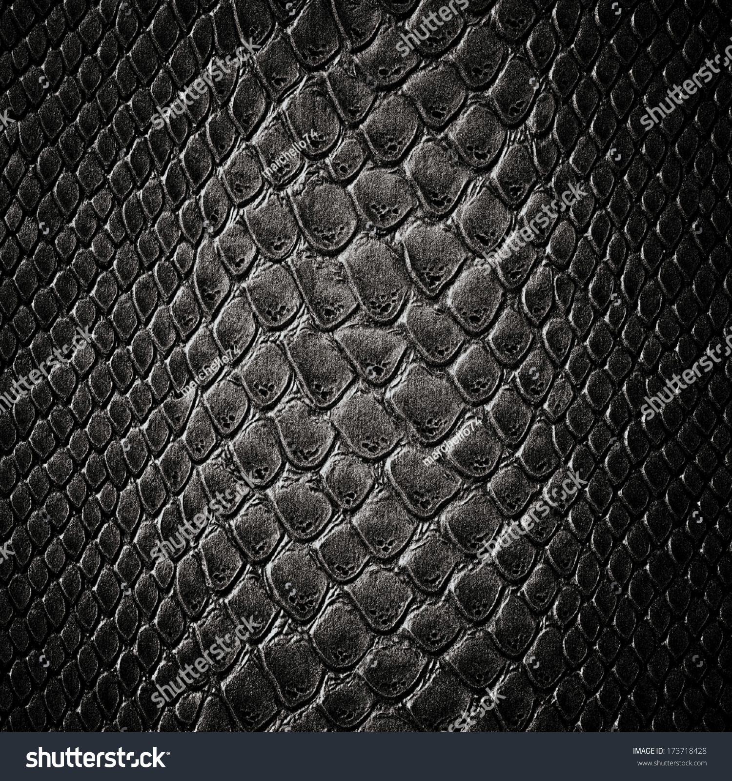 Snake Black Skin Leather Texture Stock Photo 173718428 Shutterstock
