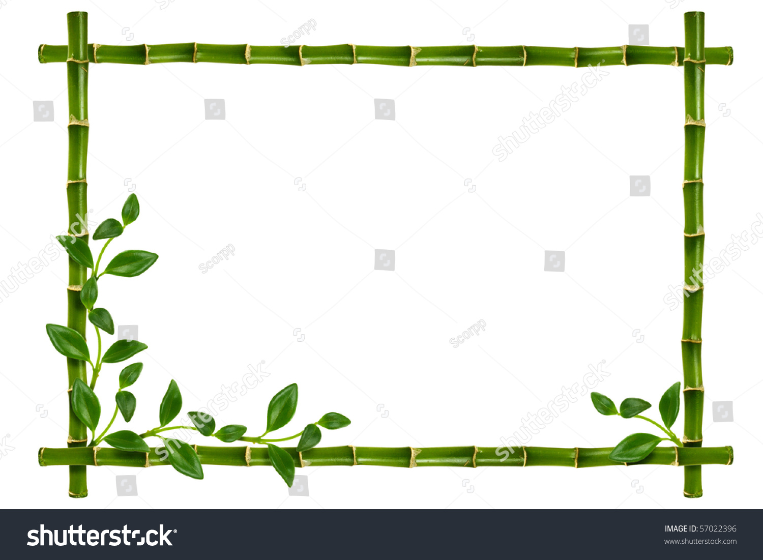 Spa Frame On The White Background Spa Frame On The White Background Stock Photo 57022396