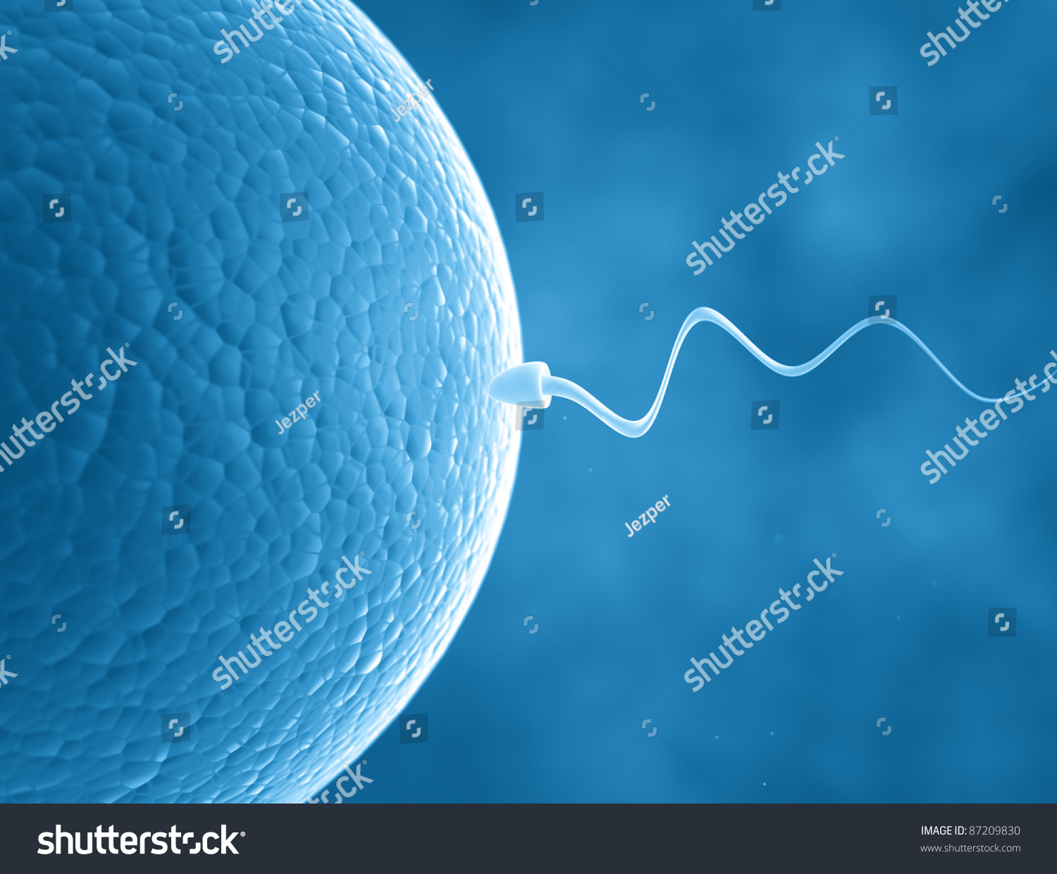 Sperm Cell And Egg Stock Photo 87209830 : Shutterstock