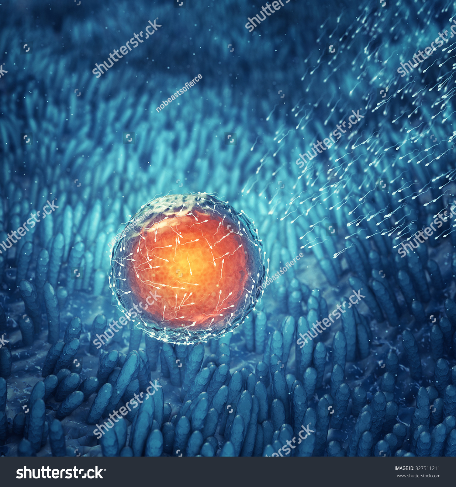 conception sperm egg hentai wallpapers