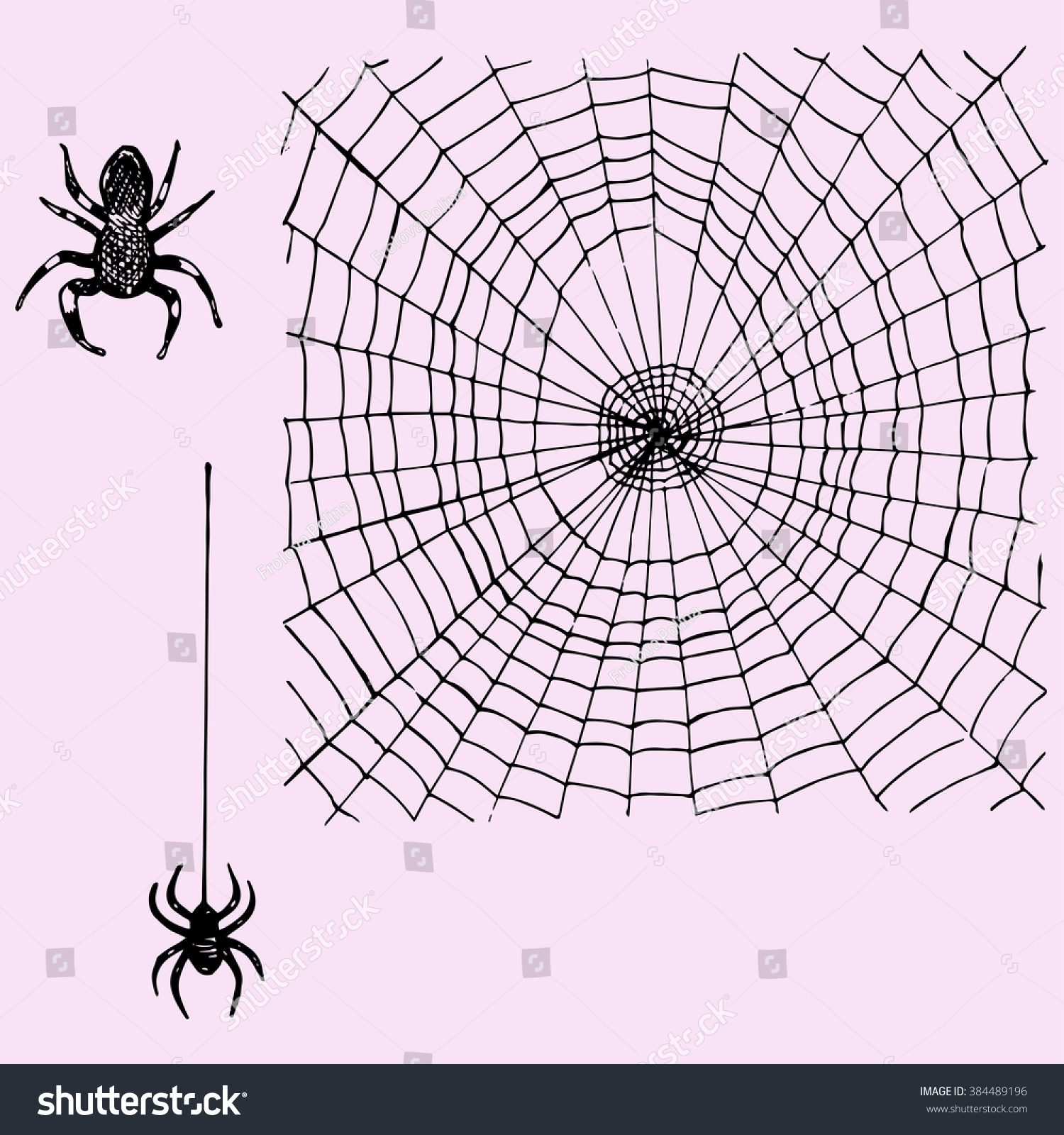 Spider Web And Hanging Spider Doodle Style Sketch Illustration Hand