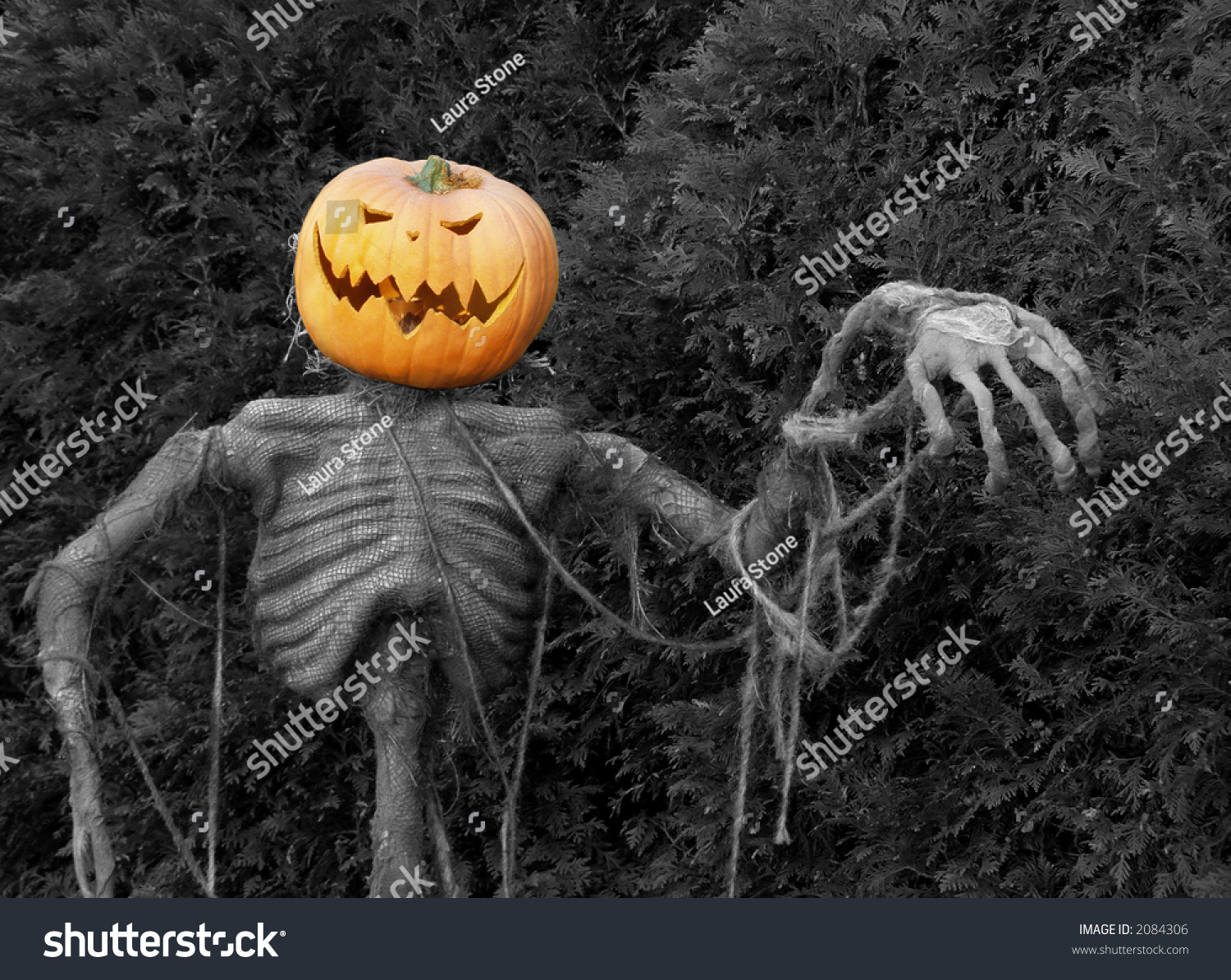 Spooky Jack-O-Lantern Scarecrow Stock Photo 2084306 : Shutterstock