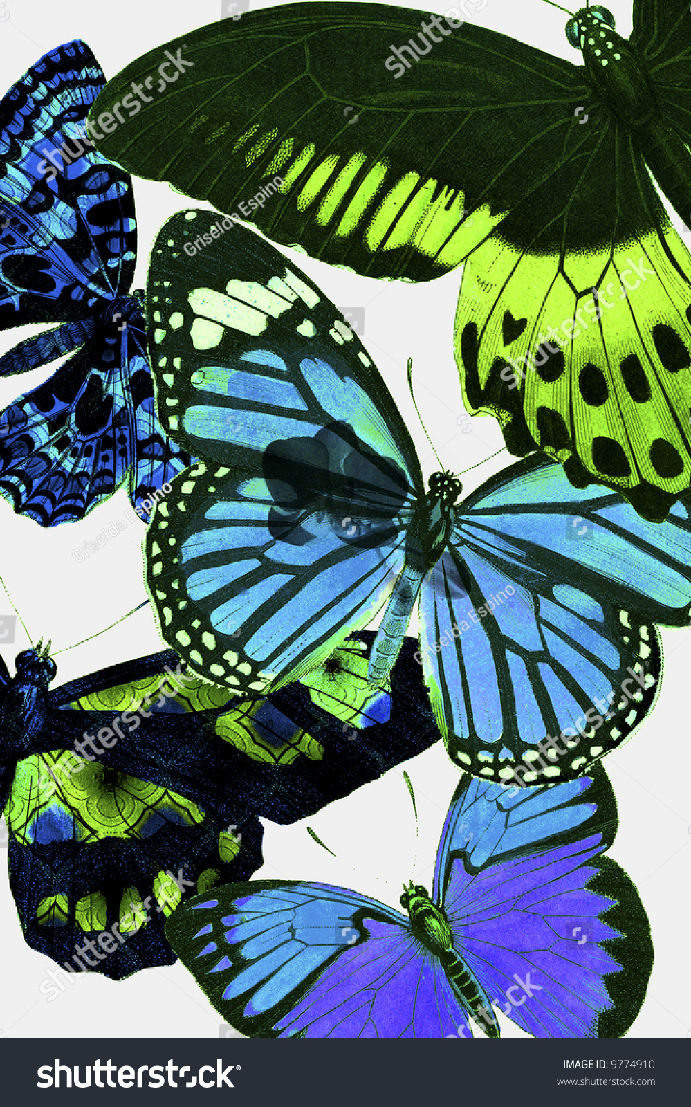 Spring Botanical Butterfly Wallpaper Design. Stock Photo 9774910