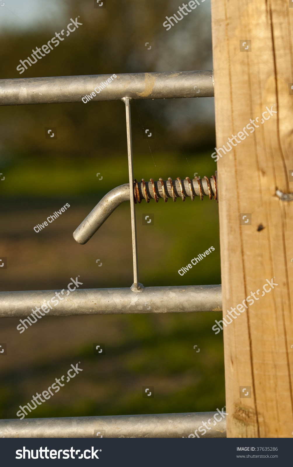 Spring loading executive stock options