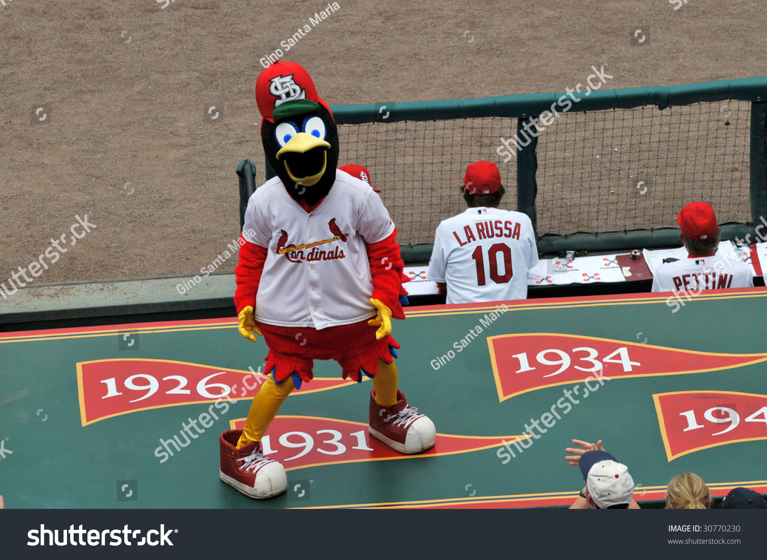 St Louis - May 23: Fredbird, The Official Mascot Of The Saint Louis Cardinals At Busch Stadium ...