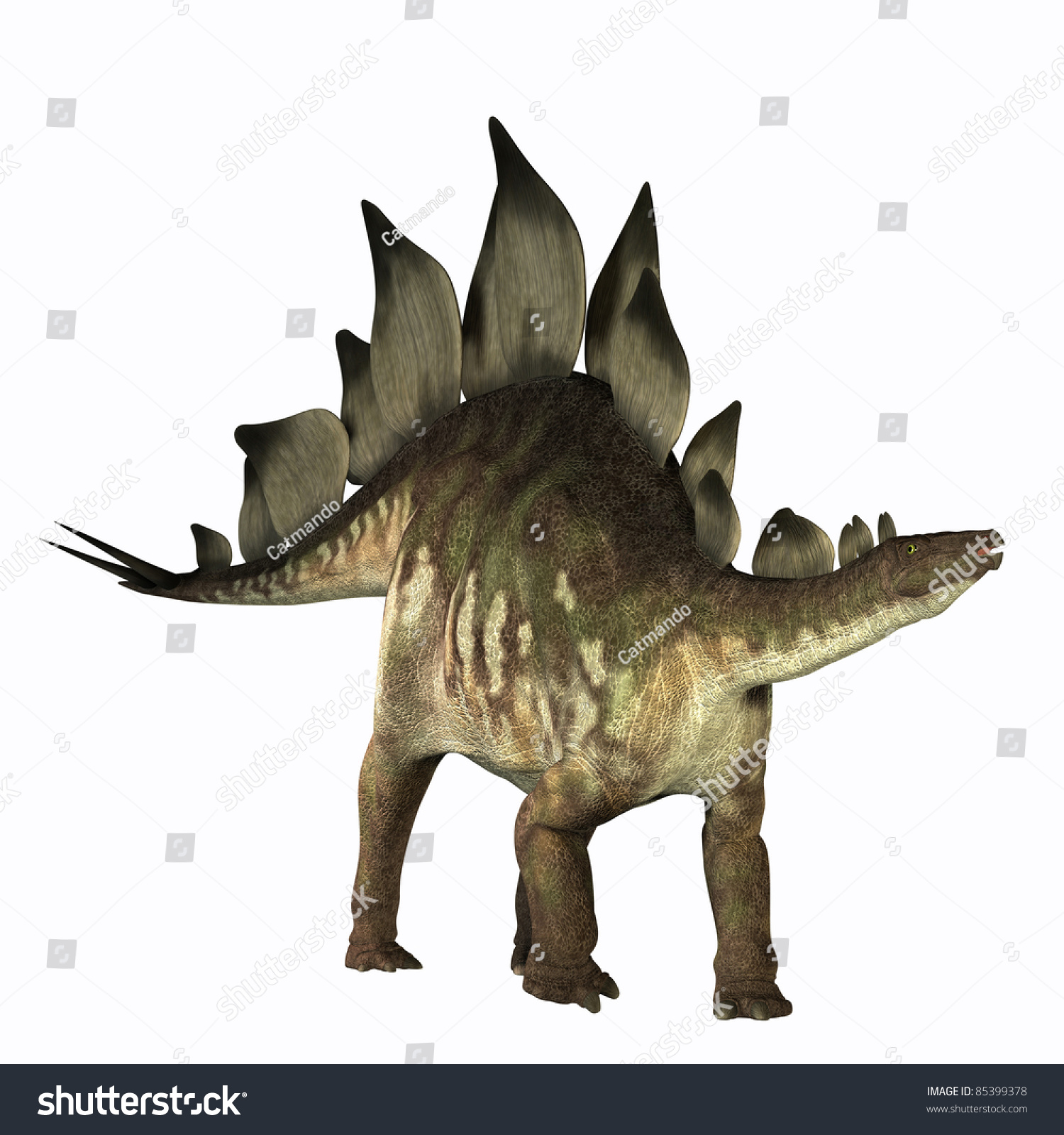 stegosaurus spikes on back