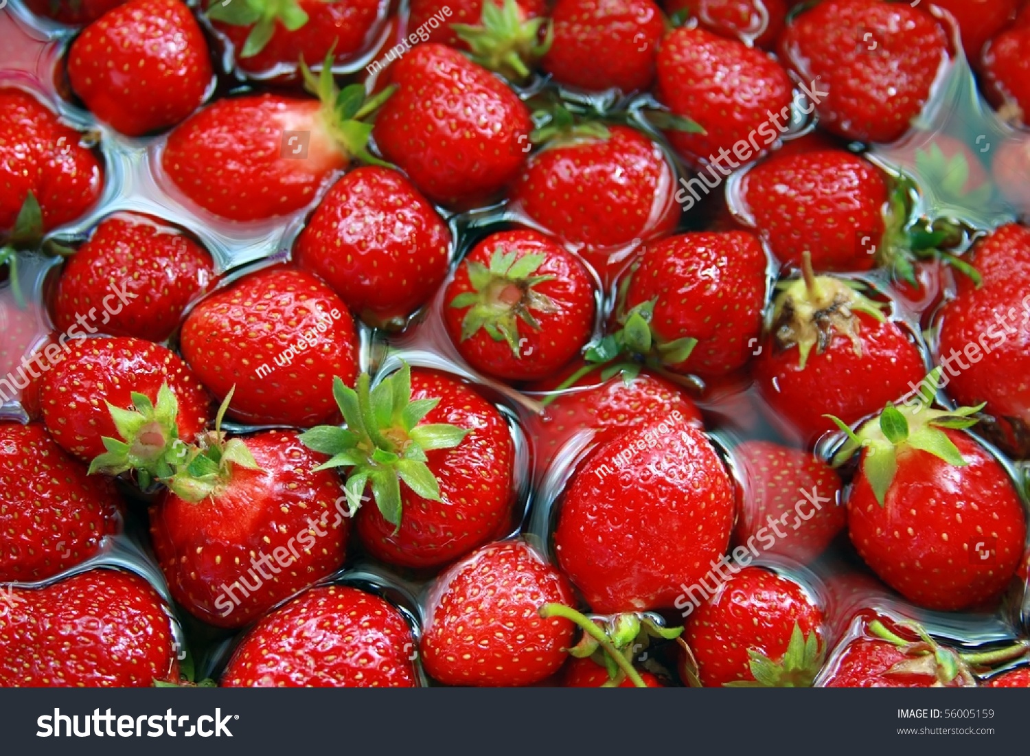 strawberries-floating-in-water-stock-photo-56005159-shutterstock