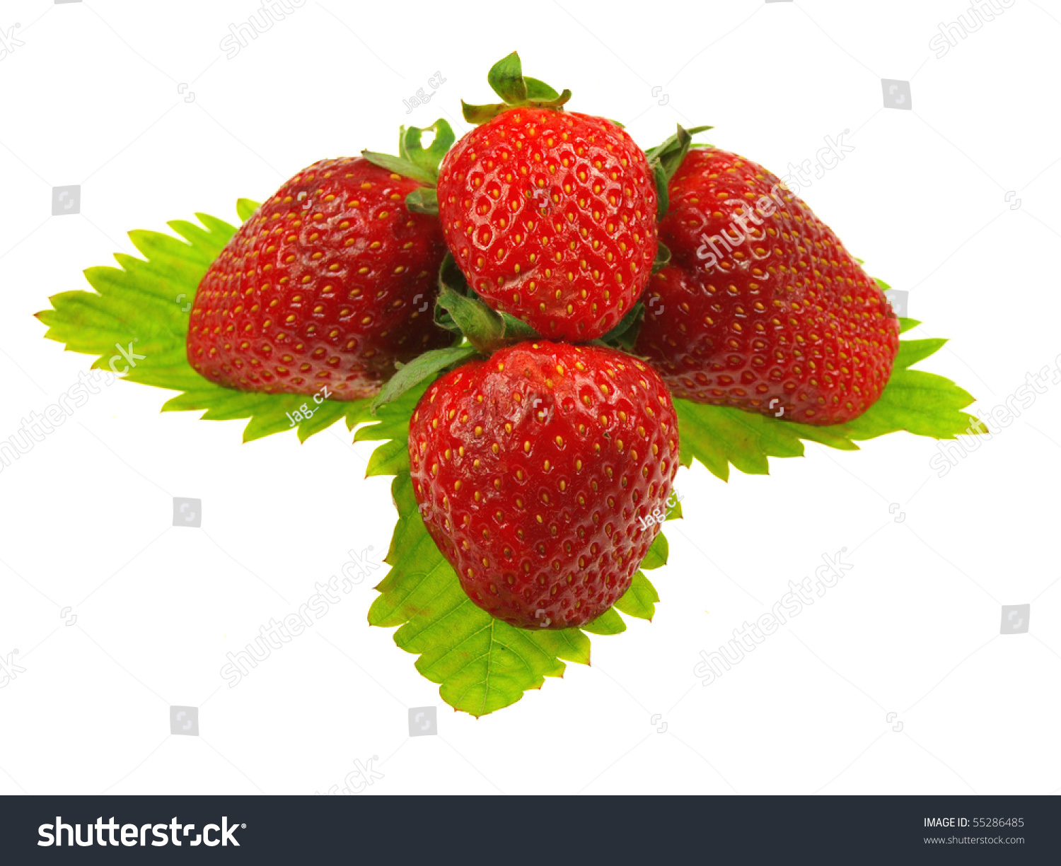 Strawberry Isolated On White Background Stock Photo 55286485 - Shutterstock