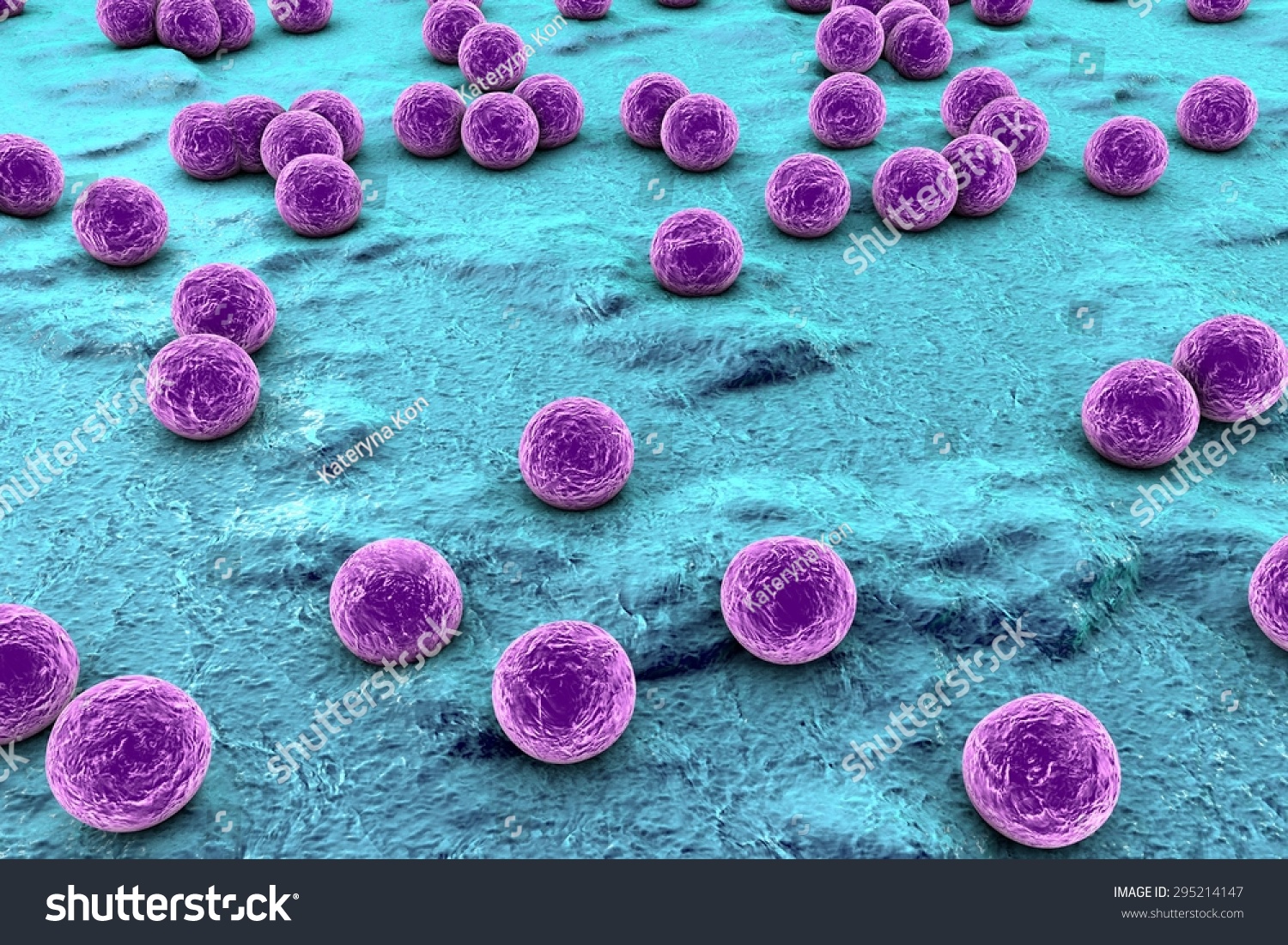 Streptococci Spherical Bacteria On The Surface Of Skin Or Mucous Membrane Model Of 7297