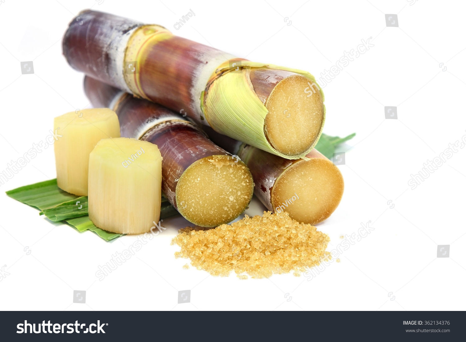 Sugarcane Leaves Pieces Sugarcane Brown Sugar Stock Photo