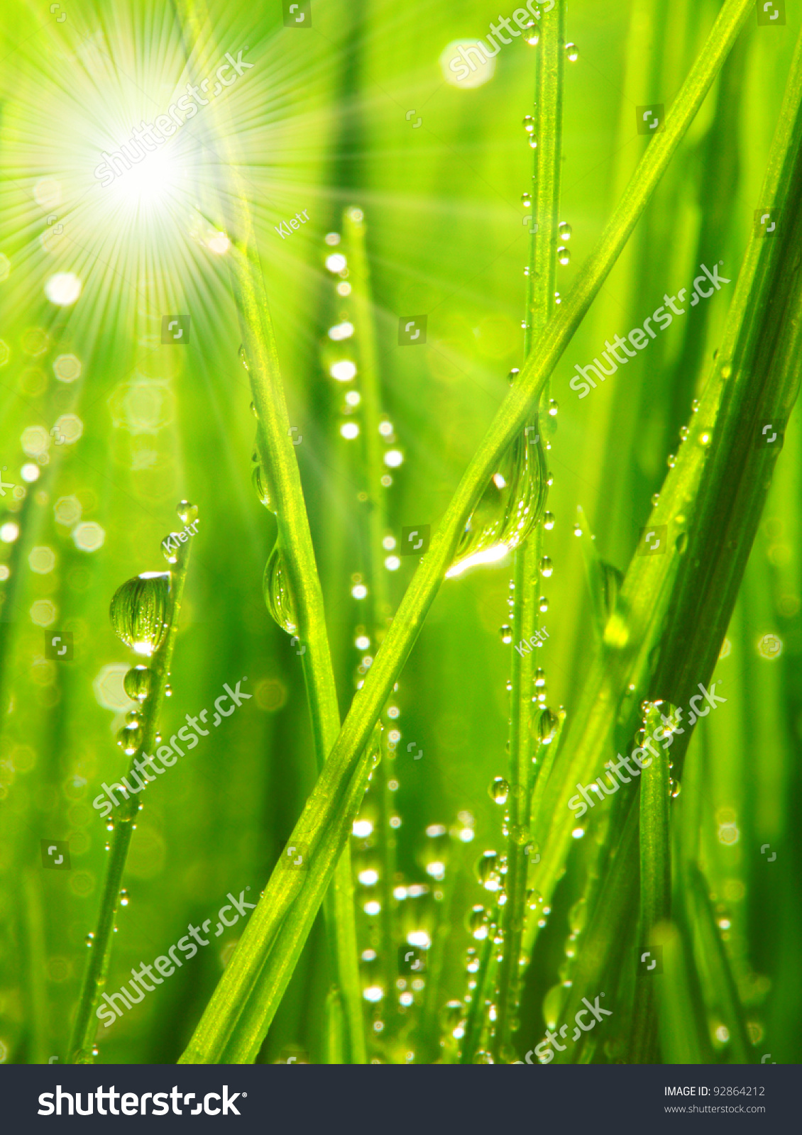Sunrise And Fresh Dewy Grass. Sunny Day Concept. Stock Photo 92864212