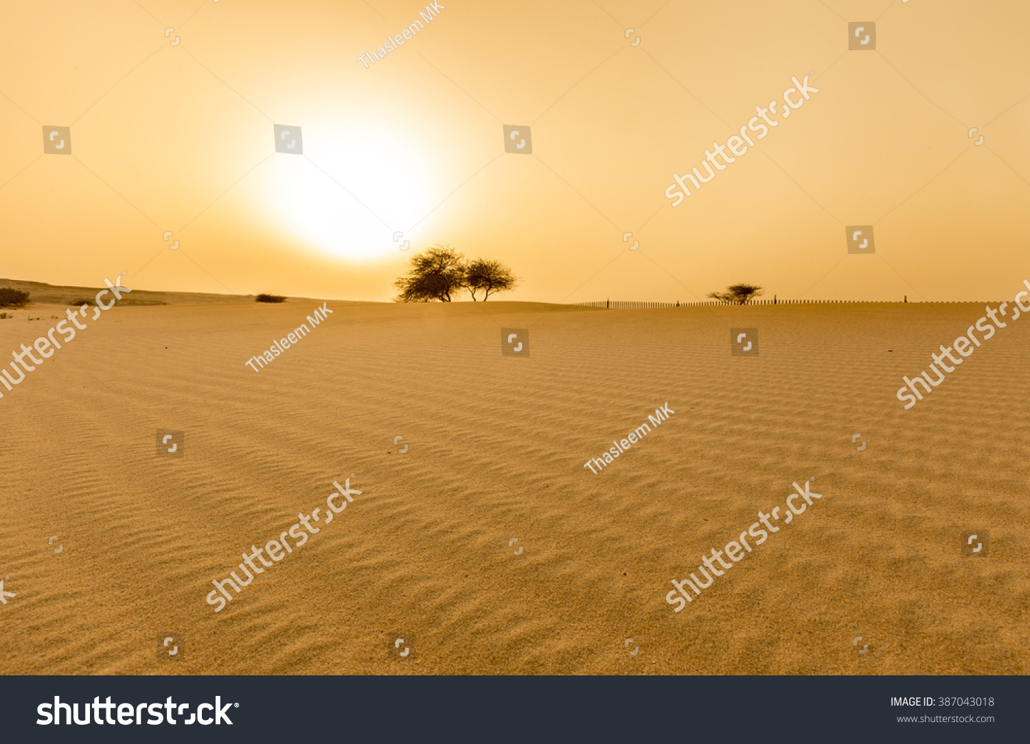 Sunset in the Desert Sunset in the Desert