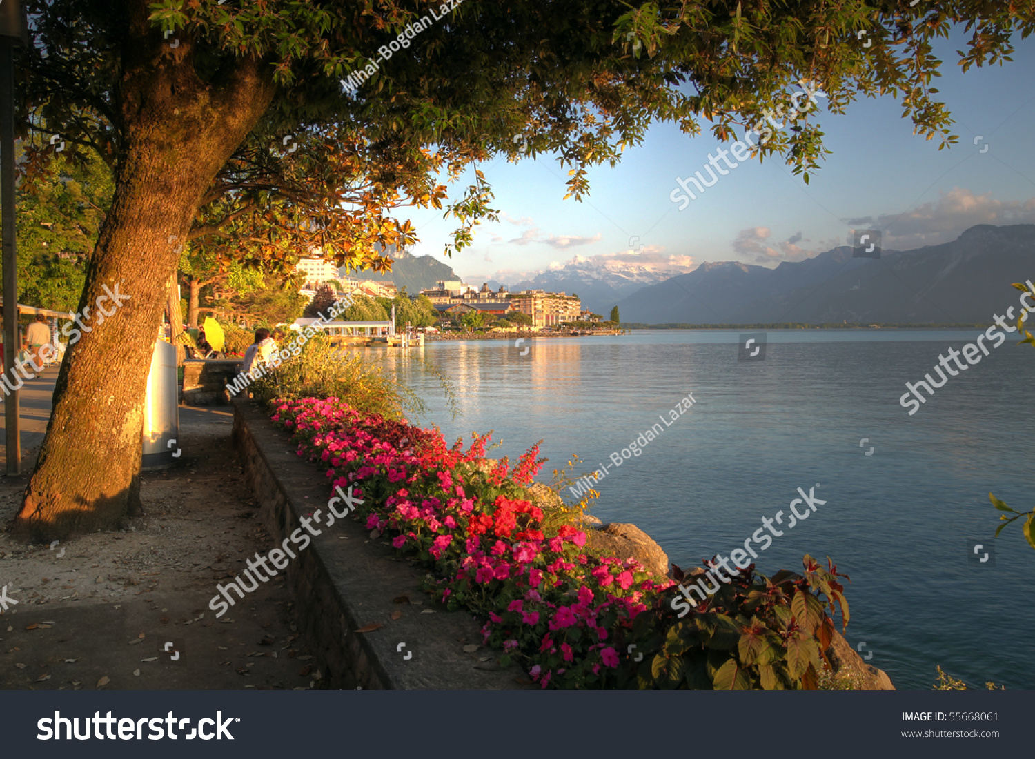 Swiss Riviera 03, Montreux, Switzerland Stock Photo 55668061 Shutterstock