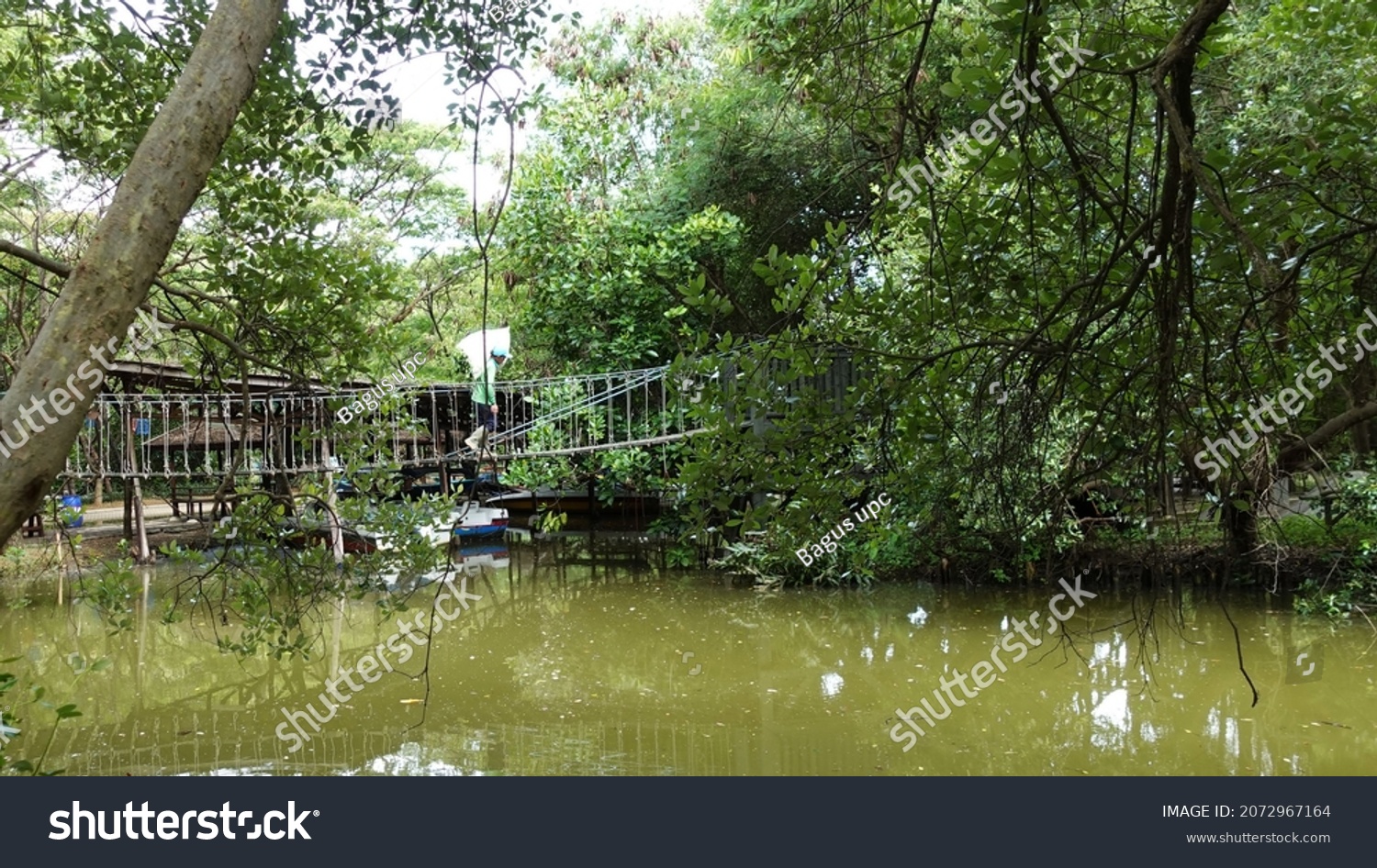 Taman Wisata Alam Mangrove Angke Kapuk Stock Photo Edit Now