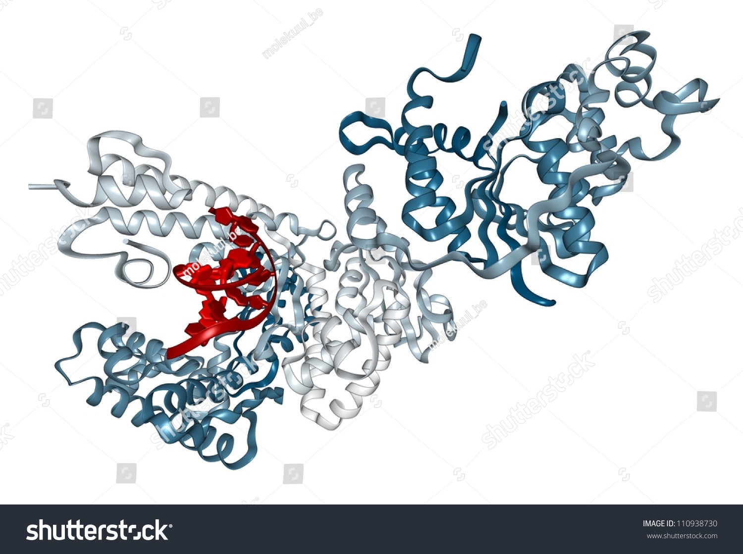 Taq Polymerase Pcr Enzyme: A Heat-Stable Dna Polymerase Protein That Is ...