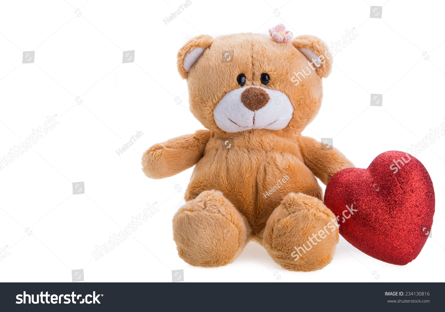 teddy holding a heart