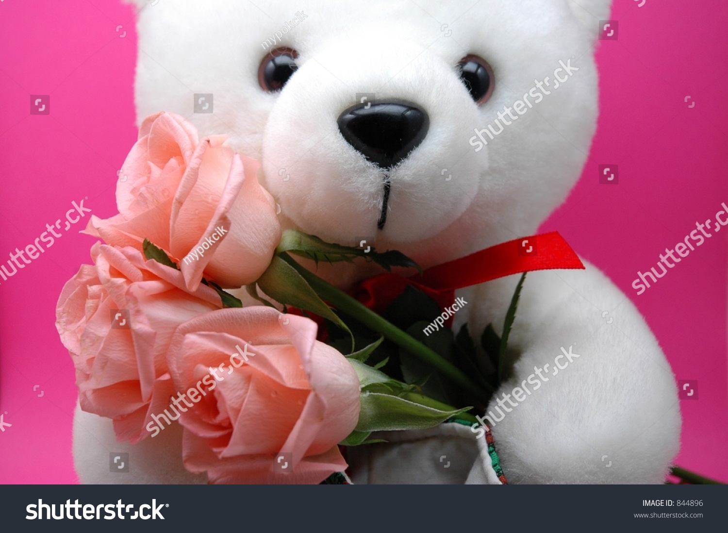 Teddy Bear Holding Pink Roses Stock Photo 844896 - Shutterstock