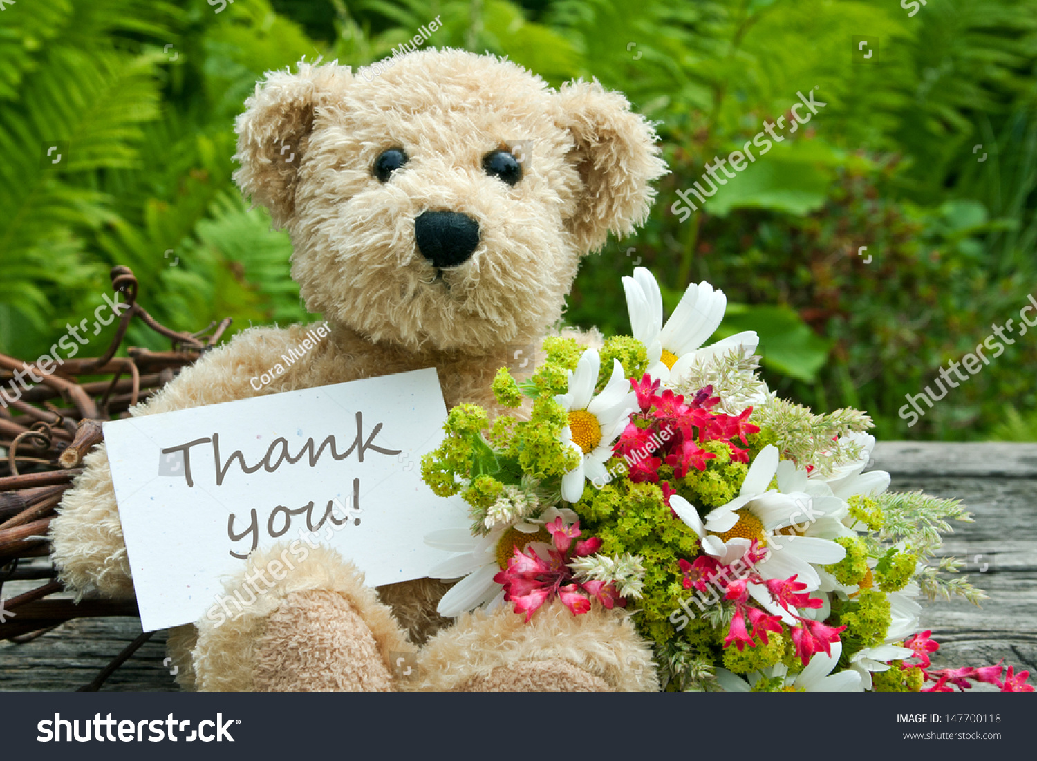 stock-photo-teddy-bear-with-flowers-and-card-with-lettering-thank-you-thank-you-teddy-147700118.jpg