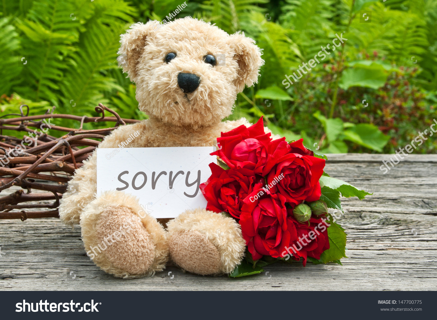 teddy bear with red roses pictures