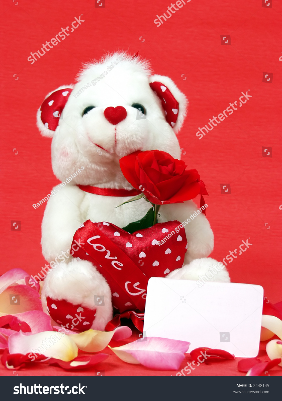 rose petal teddy