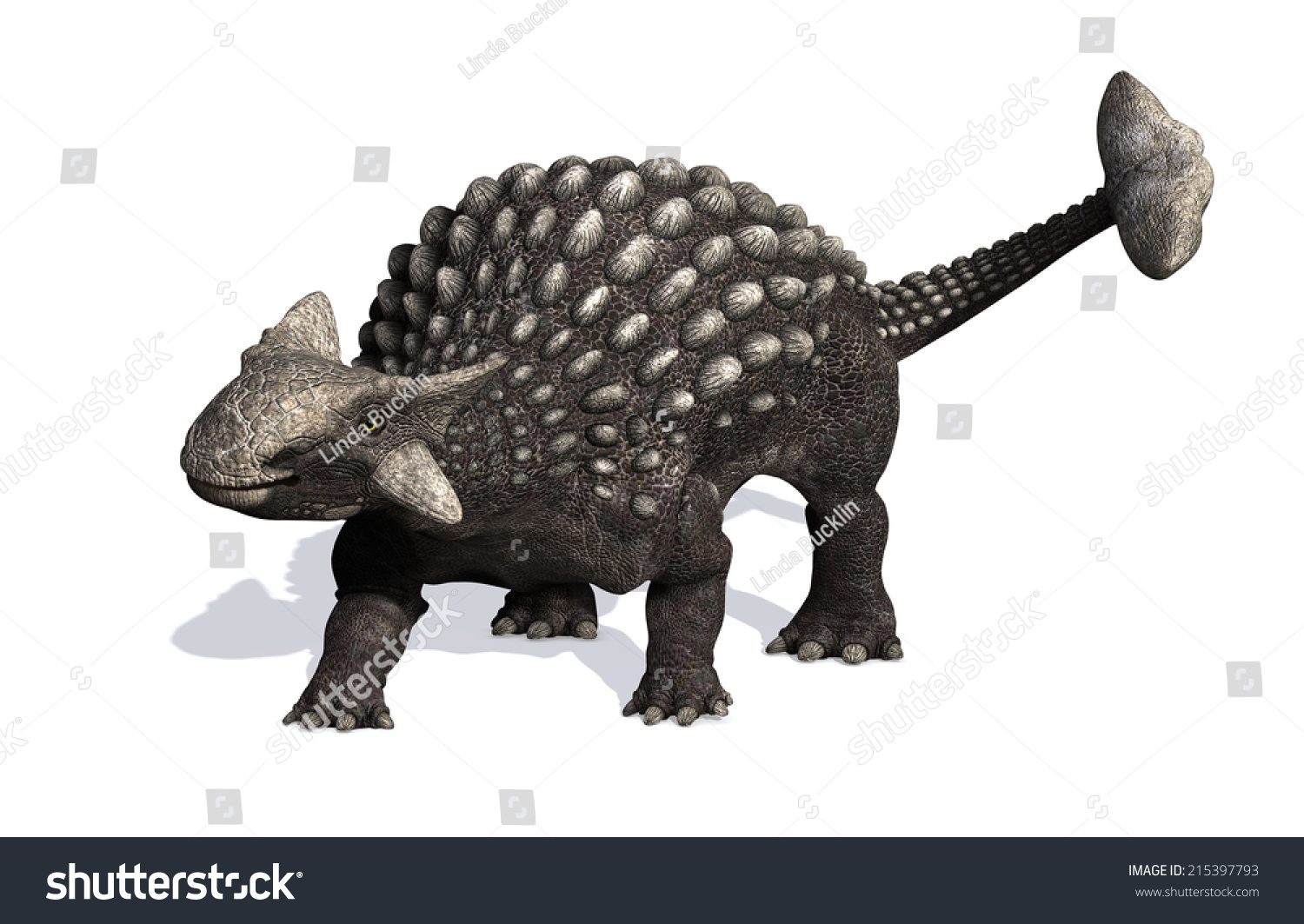 ankylosaurus lived