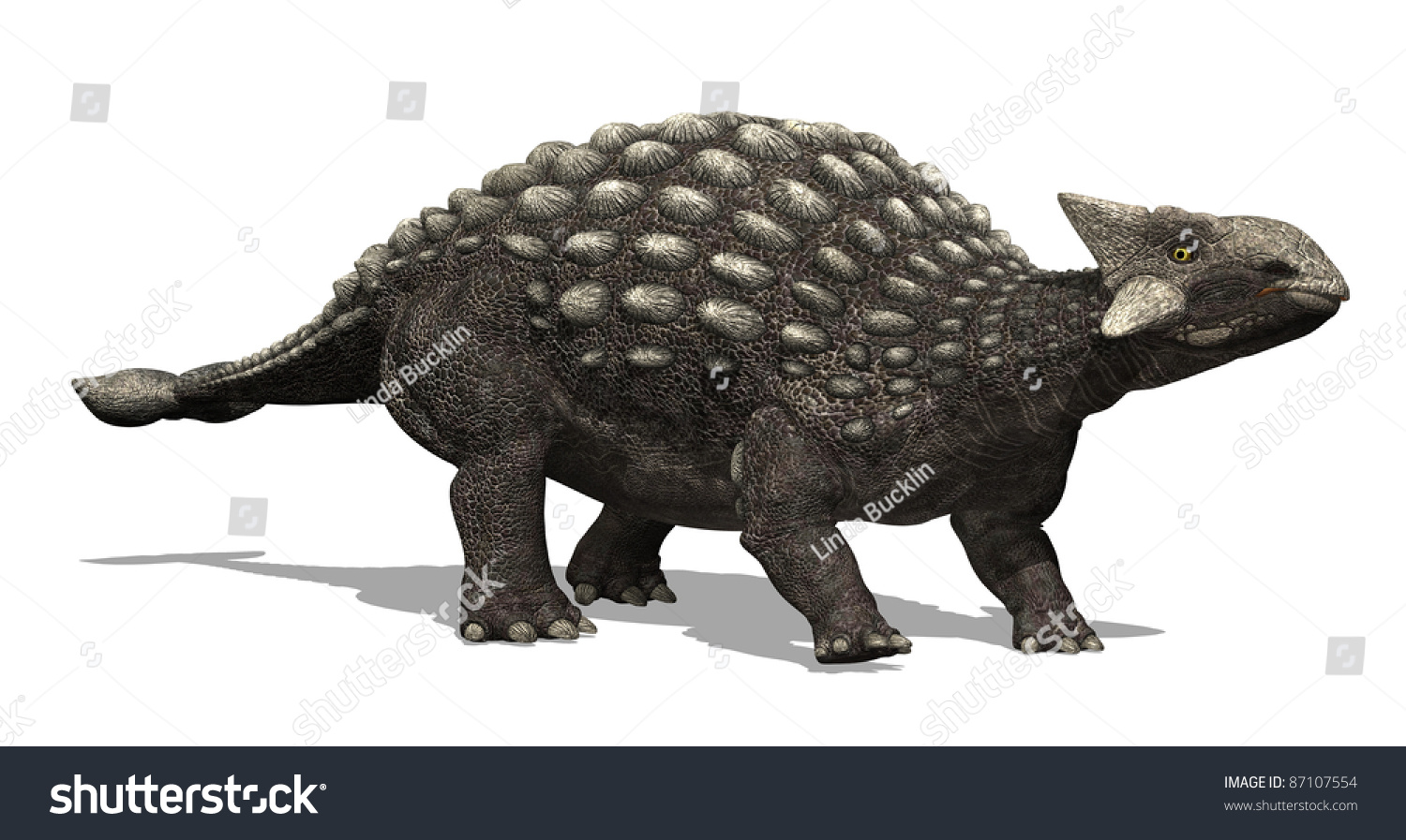 ankylosaurus lived