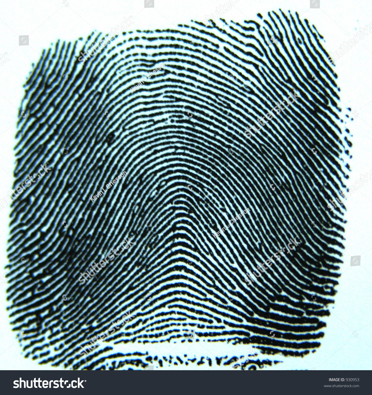 The Arch Is One Of The Three Basic Fingerprint Patterns. Stock Photo