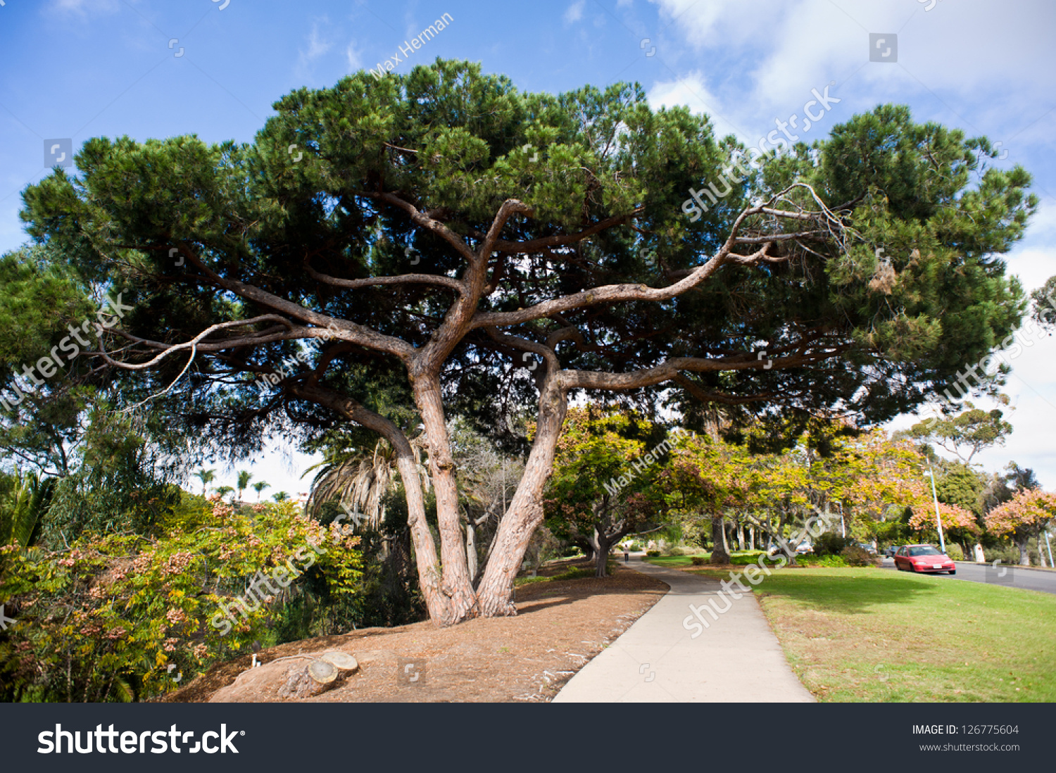 The Marston Point Section Of Balboa Park In San Diego Stock Photo