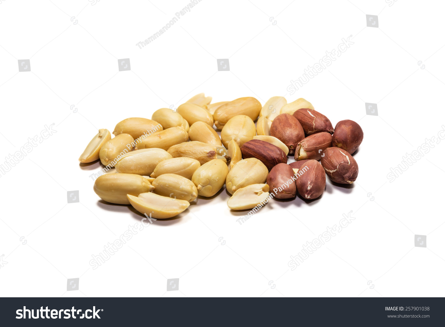 the peanut or groundnut arachis hypogaea is a species in the peanut or groundnut arachis hypogaea is a species in