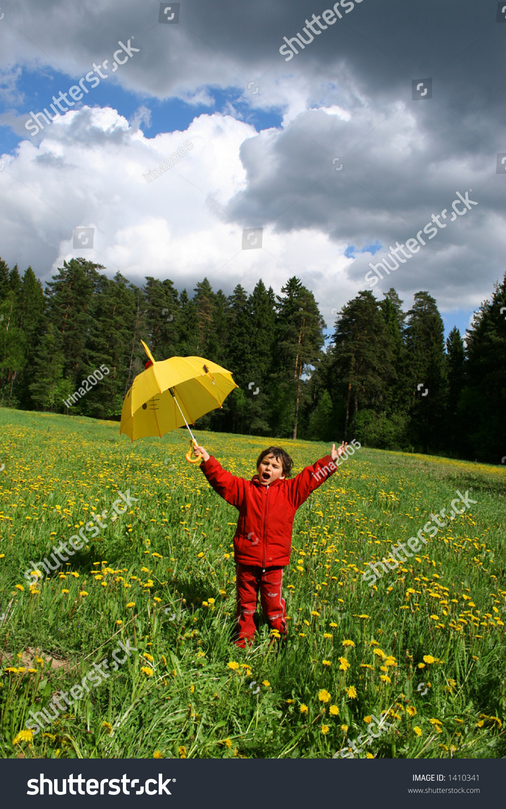 The Rain Has Stopped Stock Photo 1410341 Shutterstock