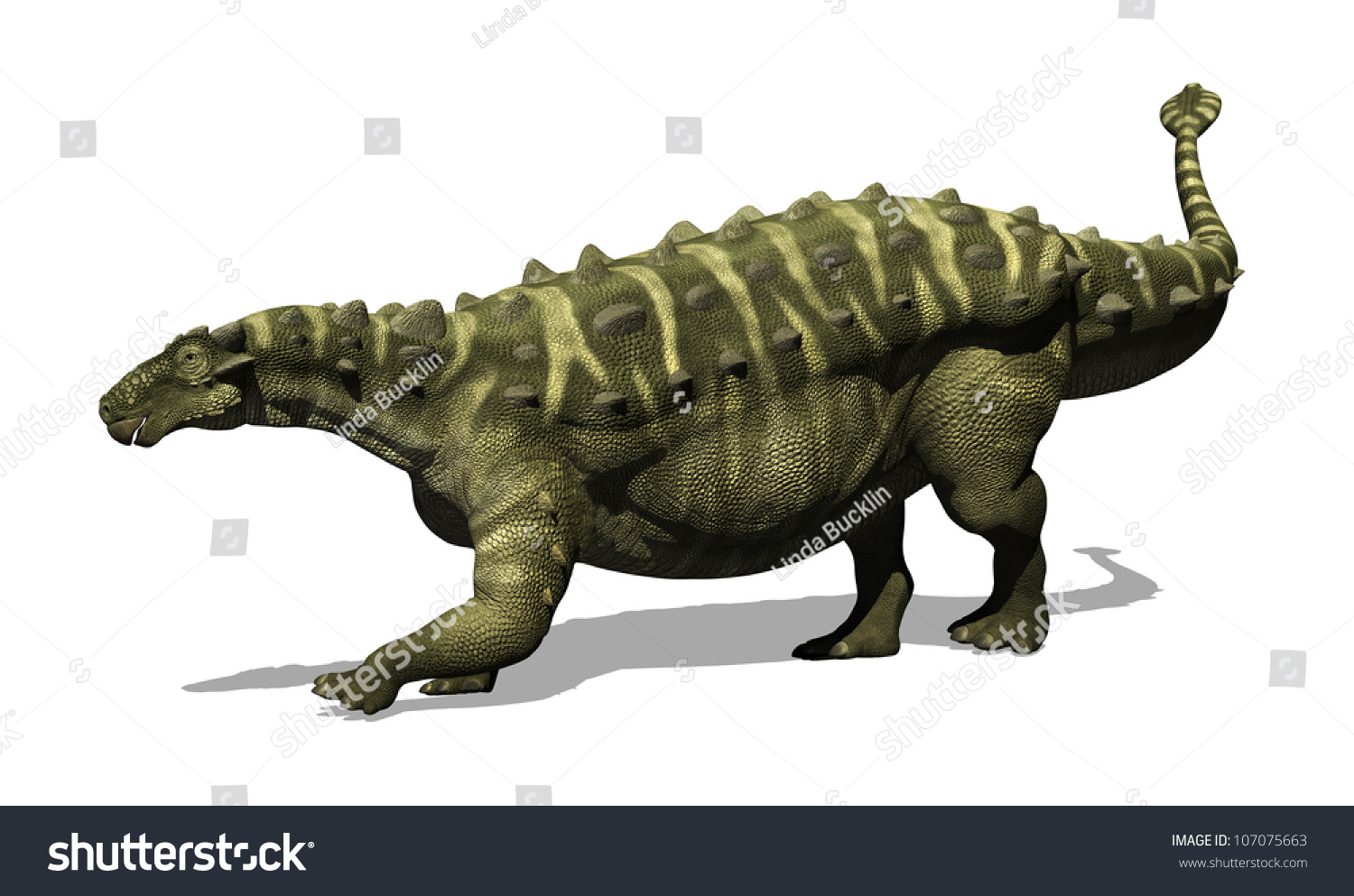 The Talarurus Was An Armoured Dinosaur With A Clubbed Tail That Lived