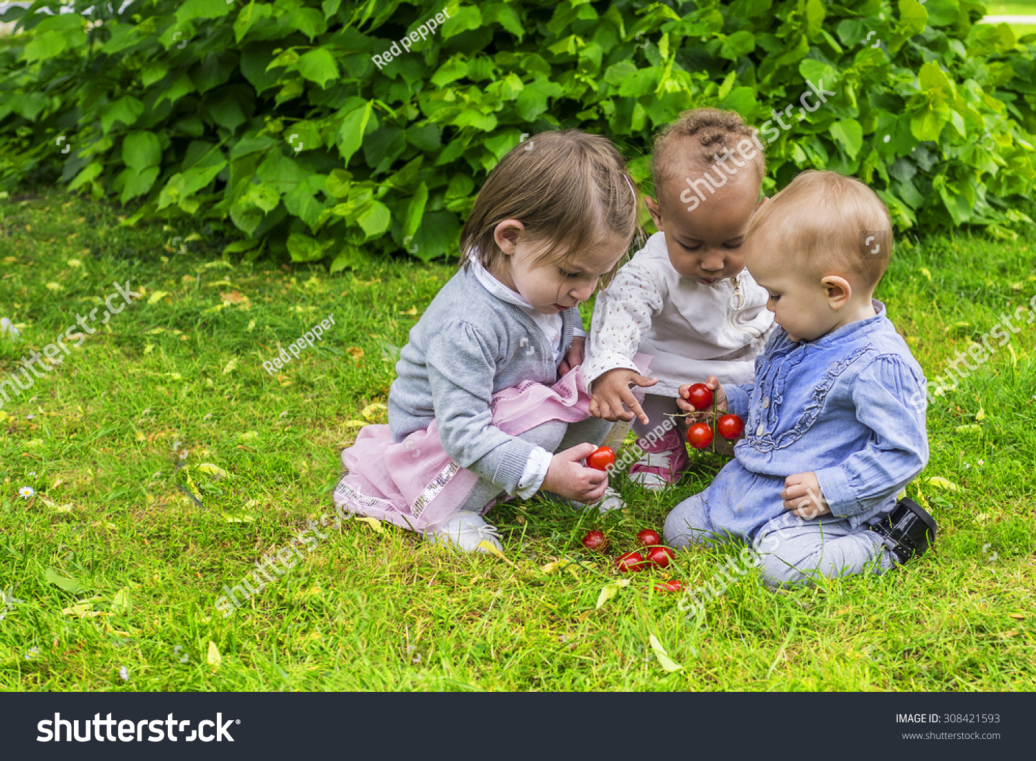 Three cute girls playing with fruit in the garden Three cute girls playing with fruit in the garden