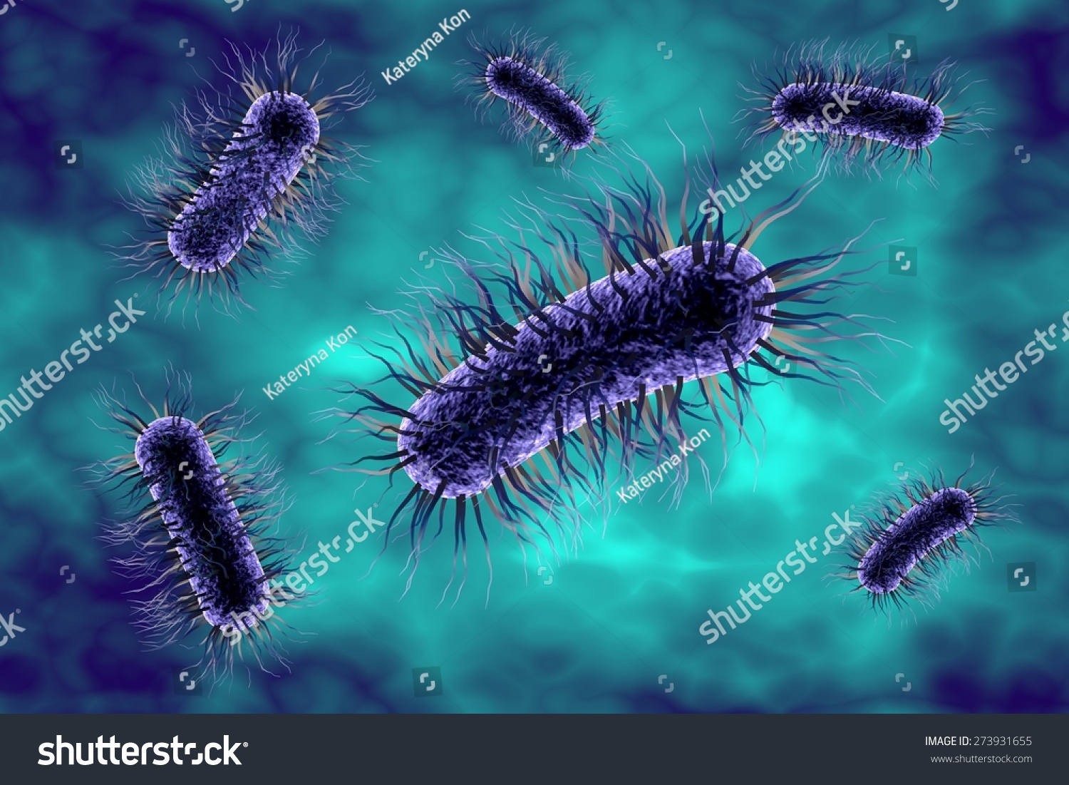 Threedimensional Drawing Bacterium Escherichia Coli Stock Illustration