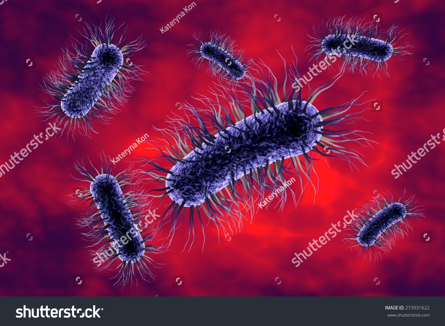 Three Dimensional Drawing Of Escherichia Coli Model Of Bacteria Realistic Illustration Of