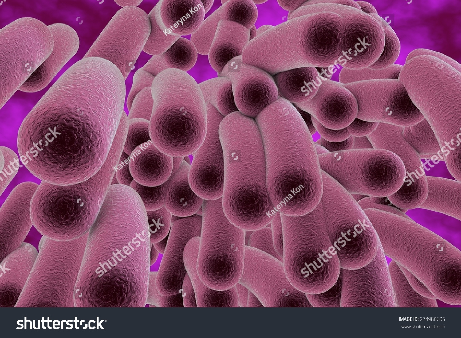 Three Dimensional Drawing Of Rod Shaped Bacteria On Pink Background Model Of Bacteria