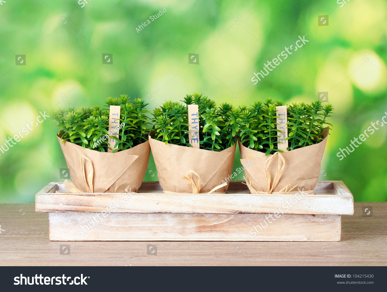 herbal plants research paper Using herbal plants for medicine, a section of a research study 1162 words | 5 pages for medicinal use herbal drugs are derived either from whole plant or from. herbal plants research paper Using herbal plants for medicine, a section of a research study 1162 words | 5 pages for medicinal use herbal drugs are derived either from whole plant or from.