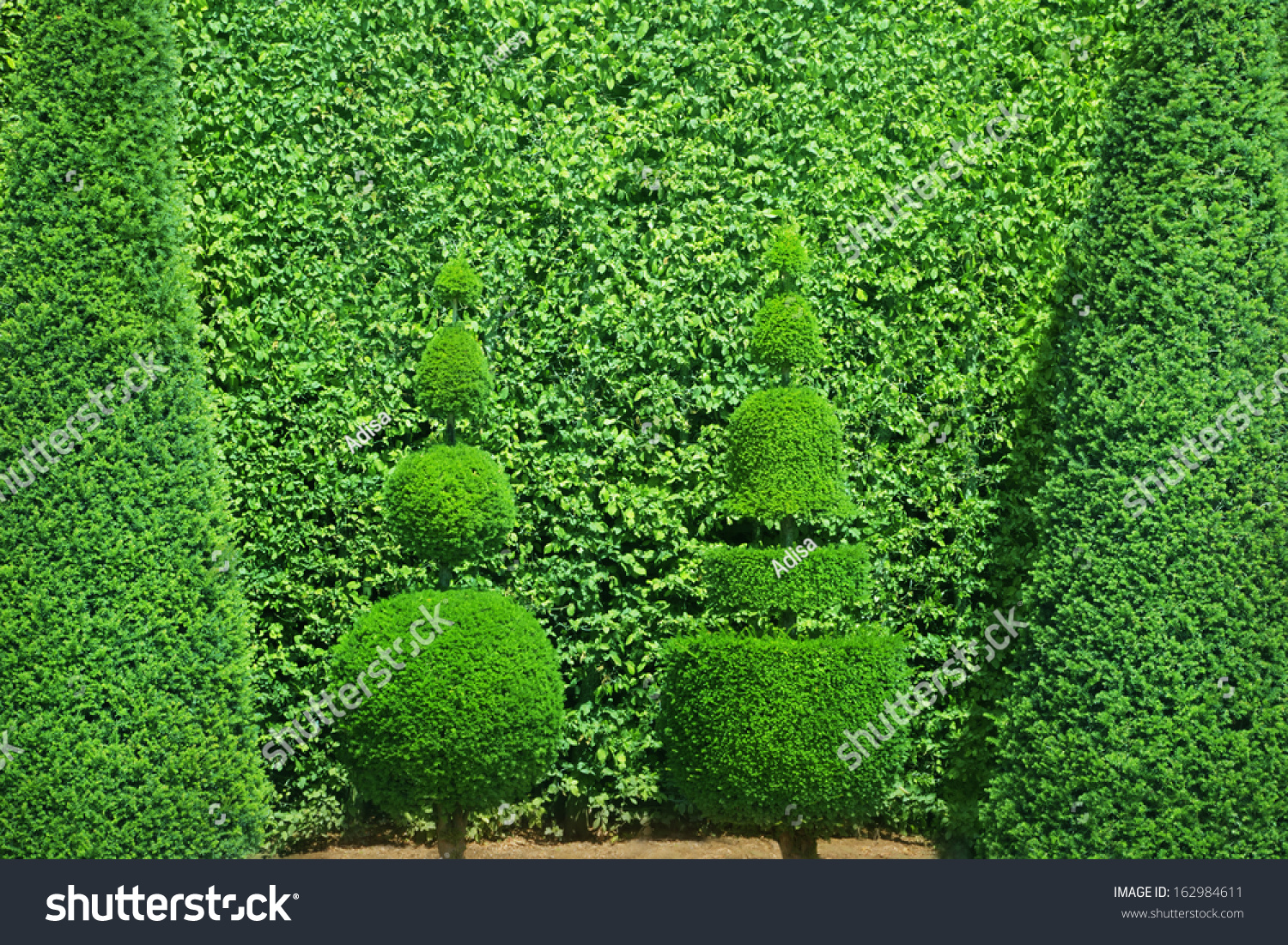 Topiary Trees Stock Photo 162984611 - Shutterstock