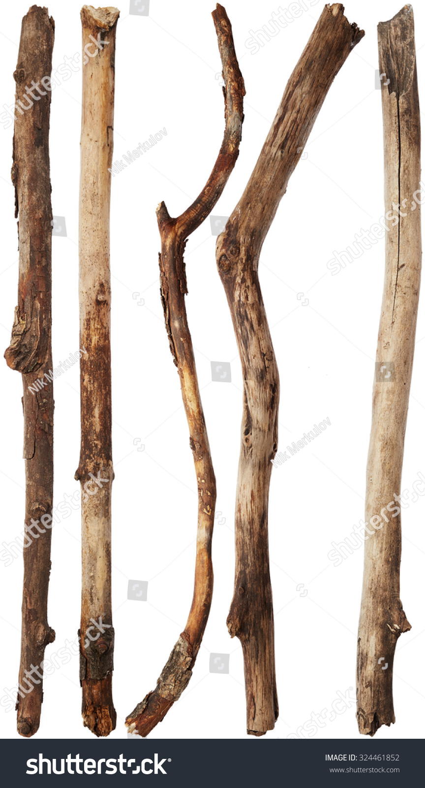 Tree Branches Isolated On White Background Stock Photo 324461852 