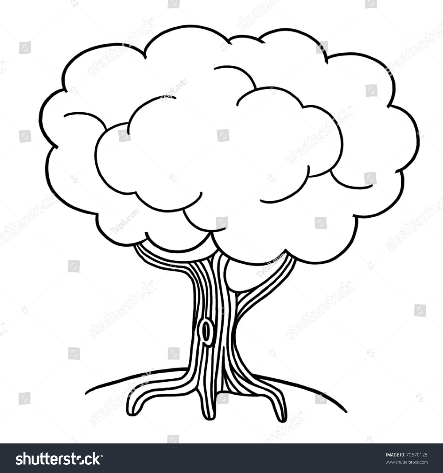 Tree Illustration Outline Drawing Tree Stock Illustration 70670125