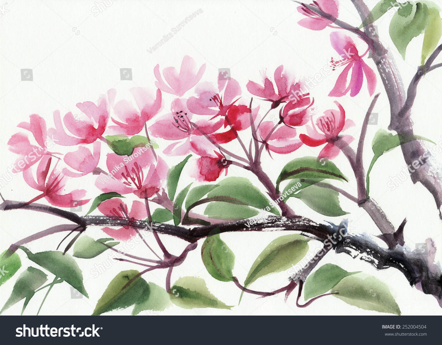 tree in blossom with pink flowers watercolor painting tree in blossom with pink flowers watercolor painting