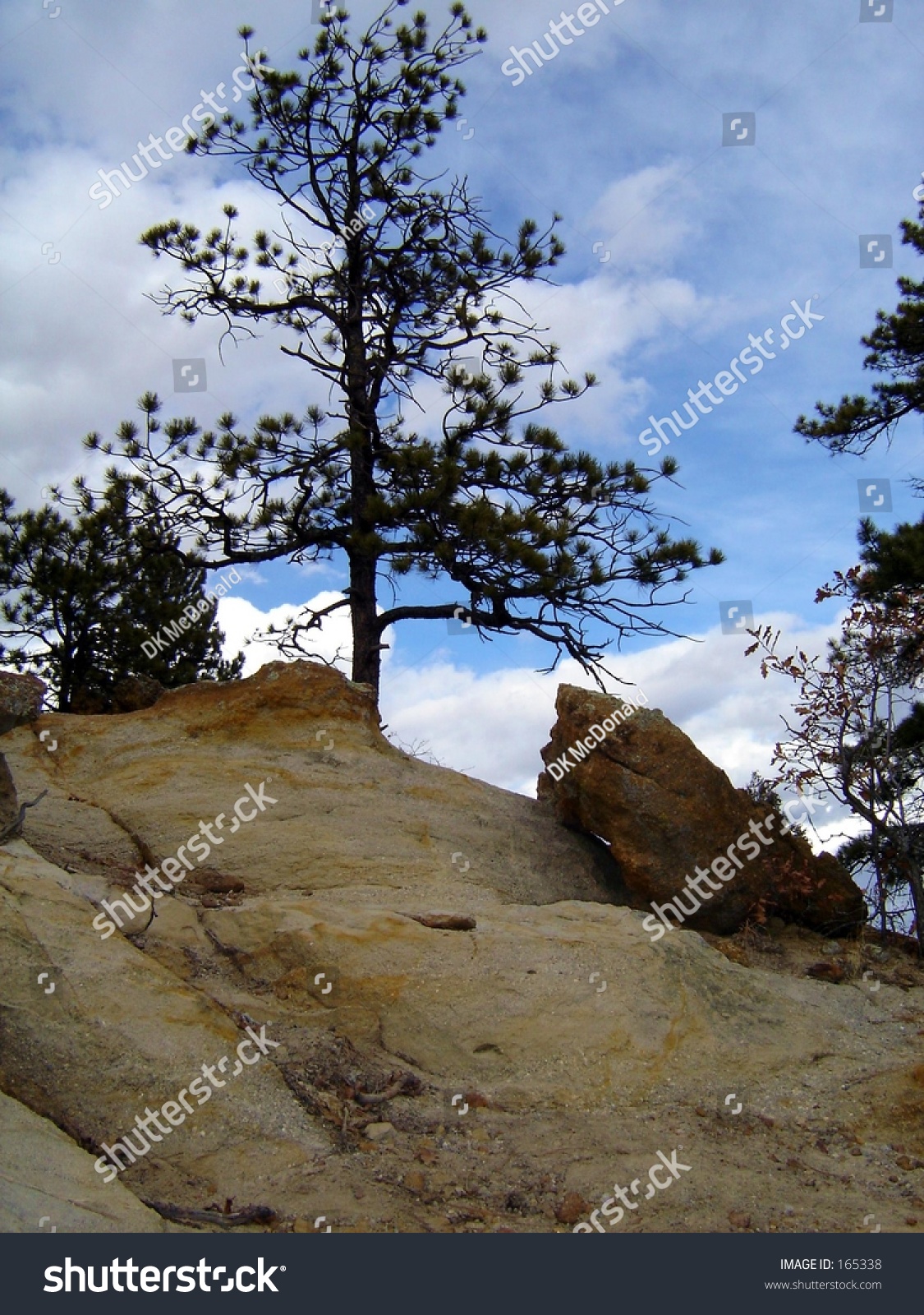 Stock options cliff