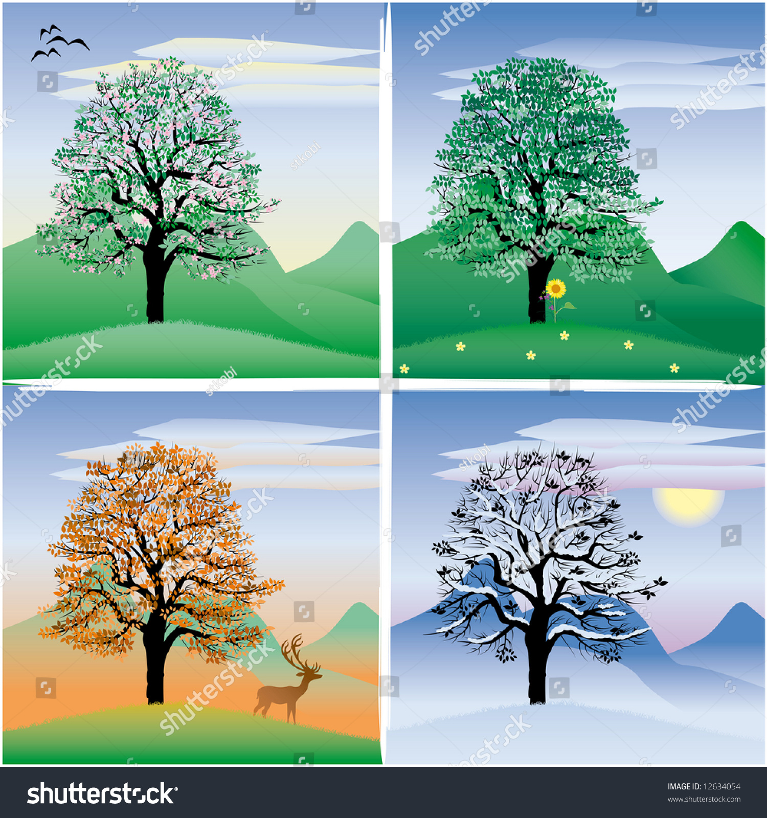 Tree Through The Four Seasons Stock Photo 12634054 : Shutterstock