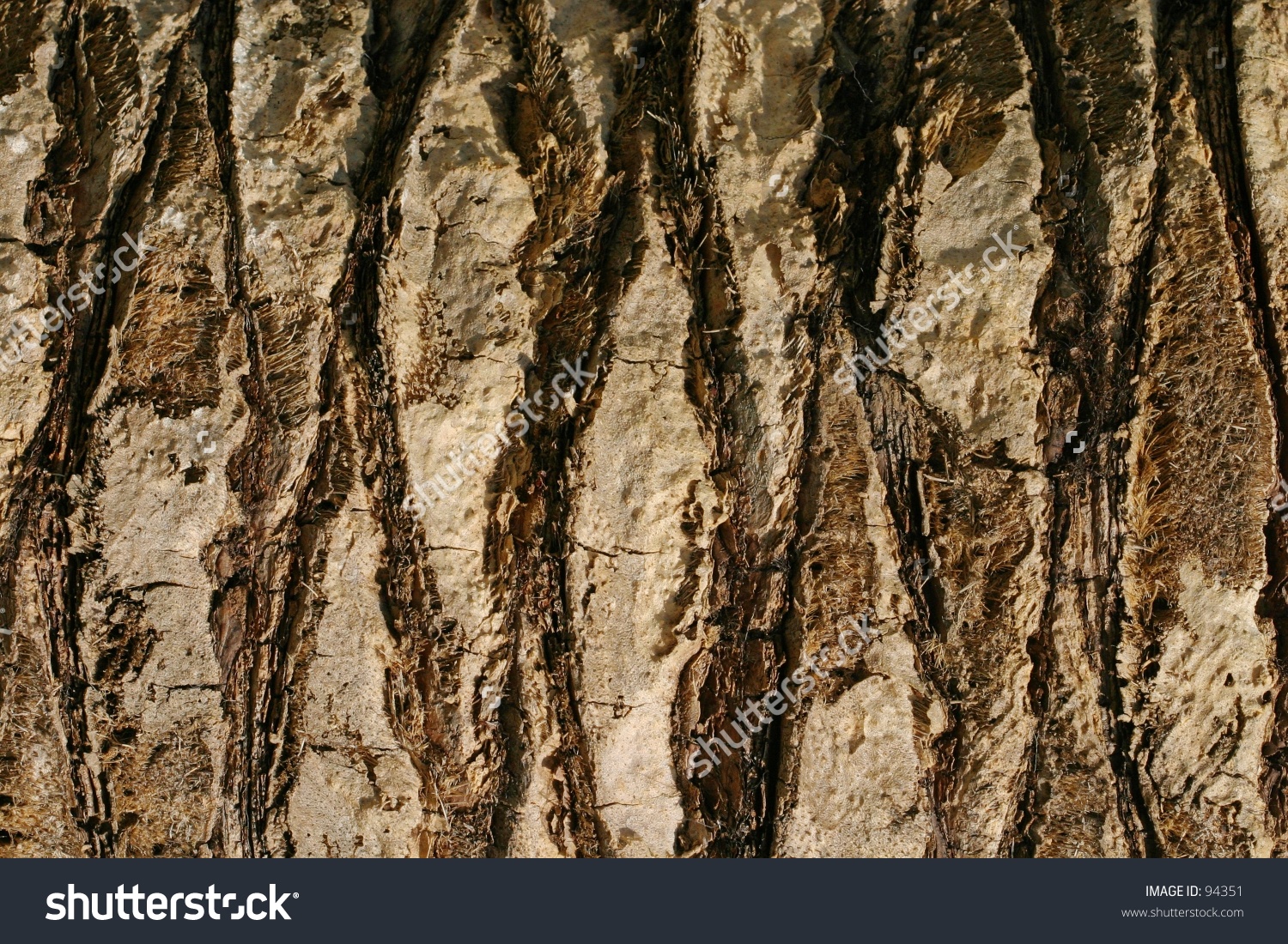 tree-trunk-pattern-stock-photo-94351-shutterstock