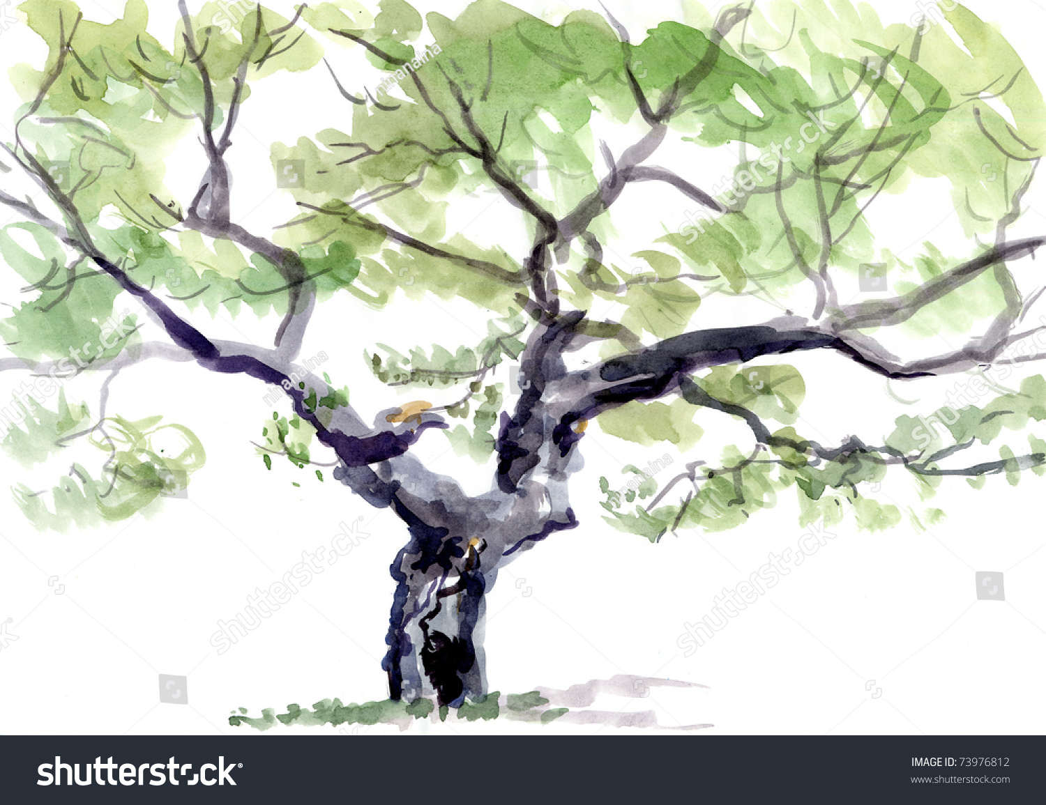 tree watercolor stock photo 73976812 shutterstock tree watercolor stock photo 73976812 shutterstock