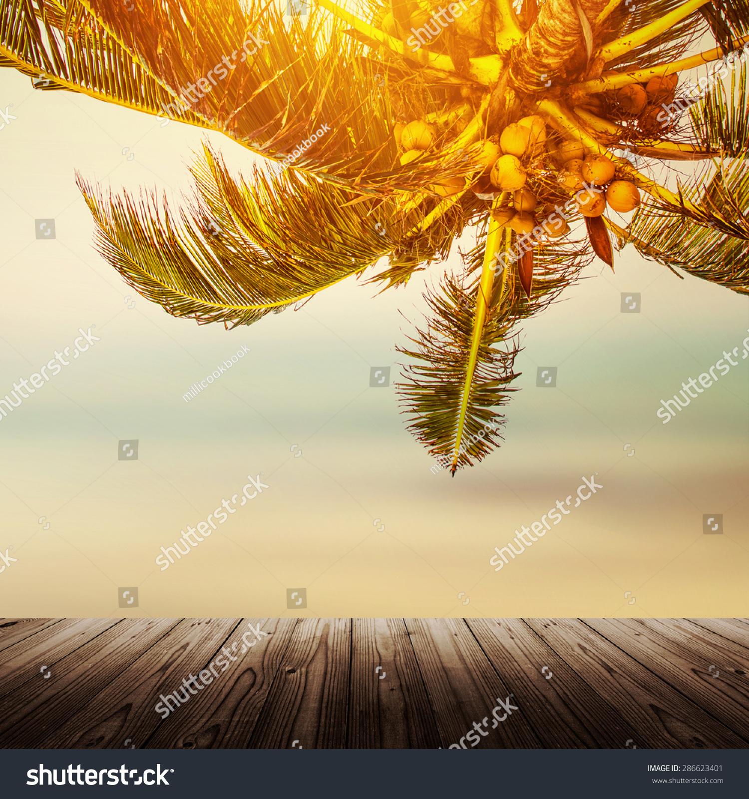 Tropical Beach Banner Background Coconut Palm Stock Photo Edit Now