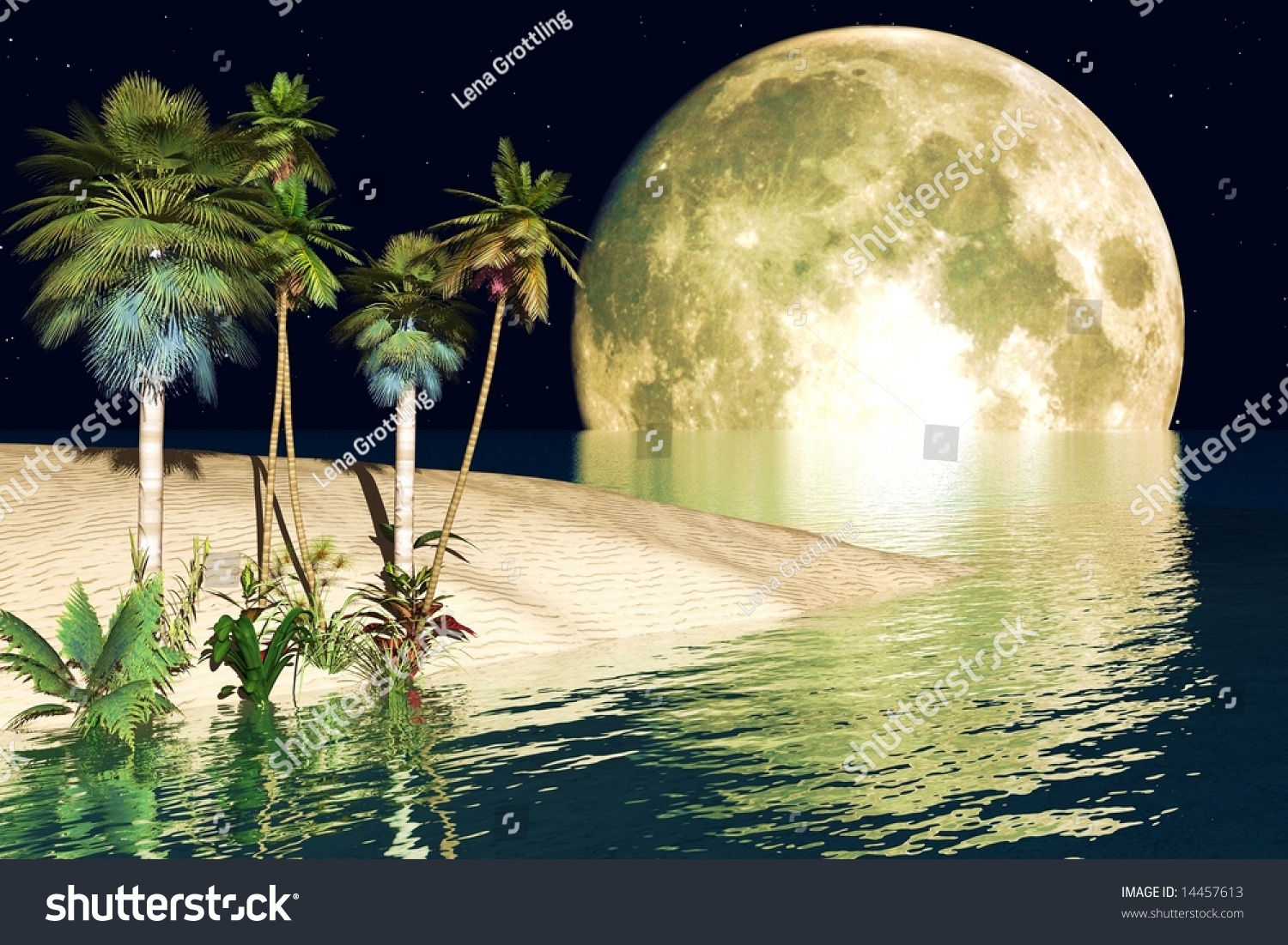 Tropical Beach In Moonlight Stock Photo Shutterstock