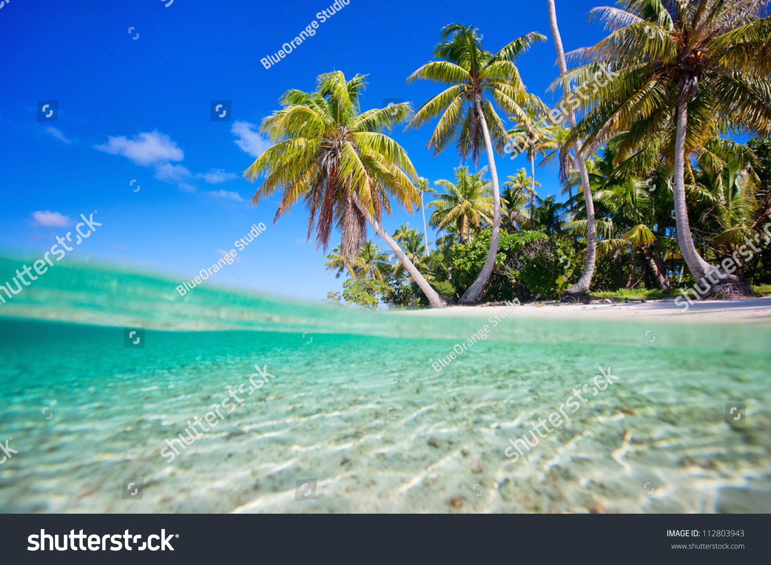 Tropical Island Tikehau Atoll French Polynesia Stock Photo 112803943