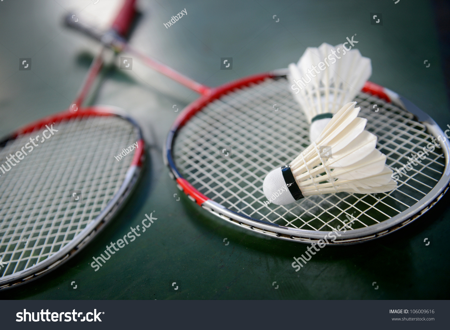 Two Shuttlecocks And Badminton Racket. Stock Photo 106009616 Shutterstock